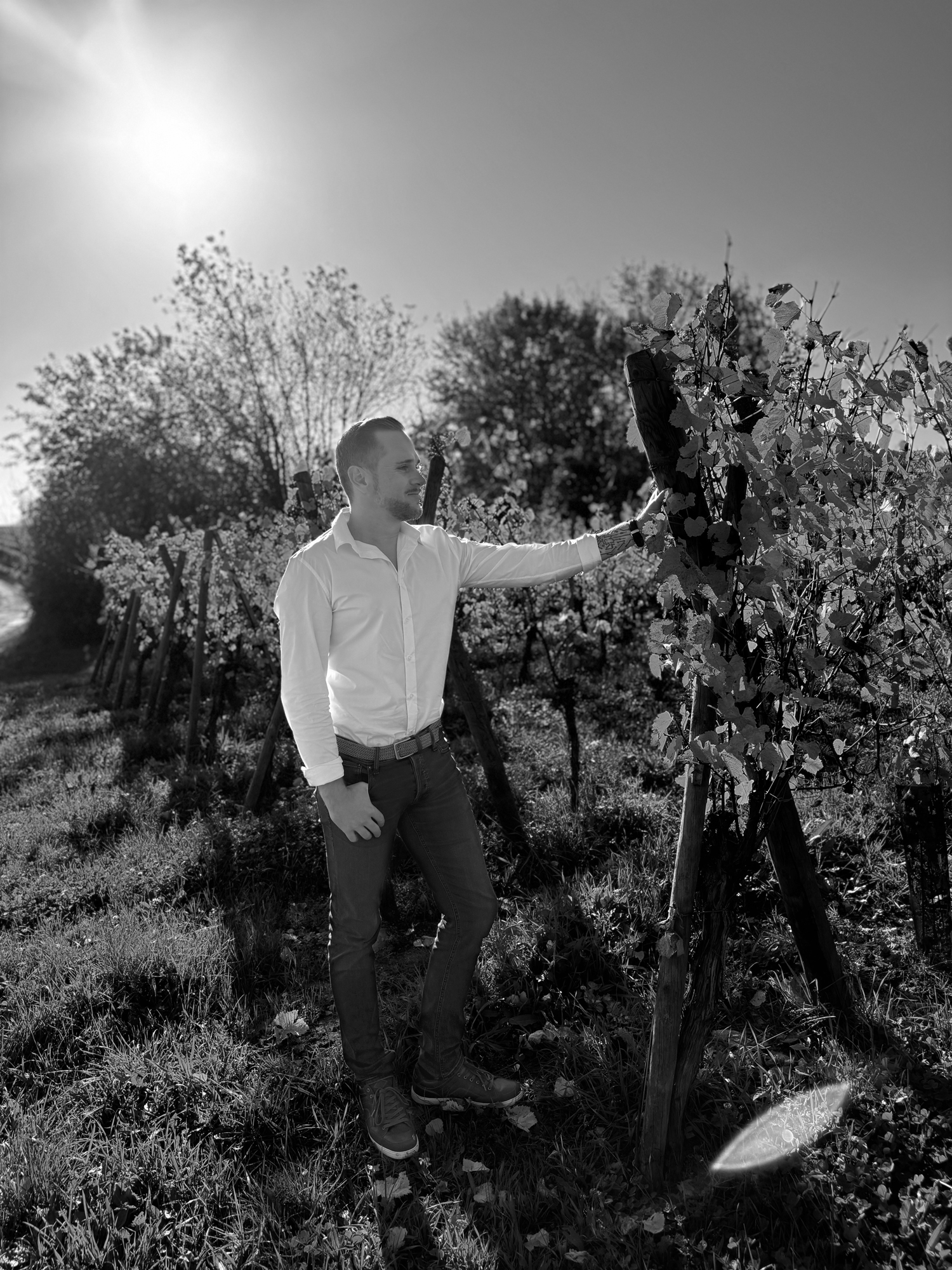 Walter Walczak — Fondateur de Magnetiks Digital